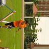 20040731_WorldChampTaiwan_0803Mardi_MatJunChRoc_AlainWaser_FSTB_0013