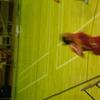 20040731_WorldChampTaiwan_0804Mercred_MatFemChGb_RomainSchmock_FSTB_0015