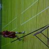20040731_WorldChampTaiwan_0804Mercred_MatFemChGb_RomainSchmock_FSTB_0040