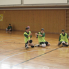 20060305_JourneeLemaniqueGE_LPittet_0108
