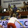 Final: Switzerland - Taiwan