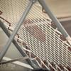 20120609_CoupeSuisse_PiranyonFinz-SparingPartners_DJaggi_0052